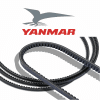 V-snaar A46 Yanmar 25132-004600E - 4JH serie