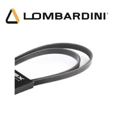 Multiriem Lombardini 2440451 - Lombardini