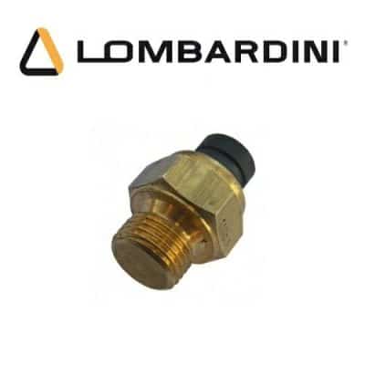 Temperatuurzender Lombardini 9195077 - Lombardini