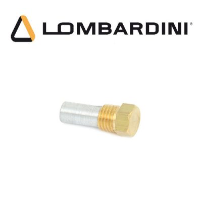 Zink anode Lombardini 9080215 - Lombardini