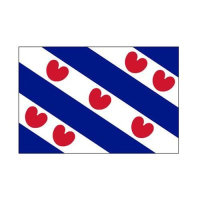 Hollex Provincievlag Friesland 80x120cm