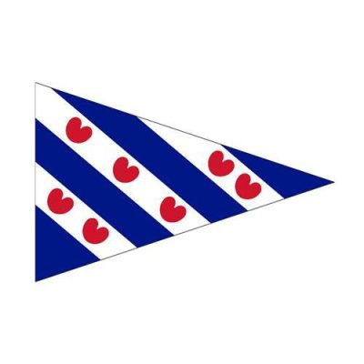 Hollex Friese puntvlag 20x30cm
