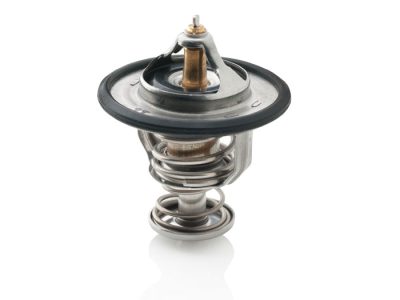 Thermostaat Vetus VH4.65-80 - STM4976
